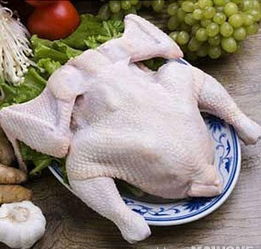 供应有机食品白条鸡供应商 上海天天香速冻食品批发公司